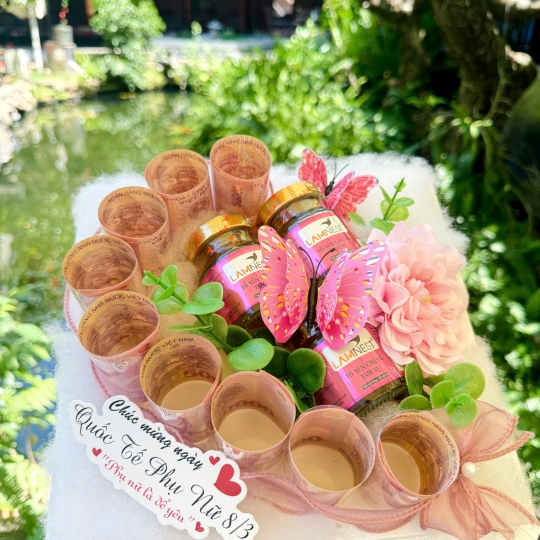 Combo quà tặng yến sào 48