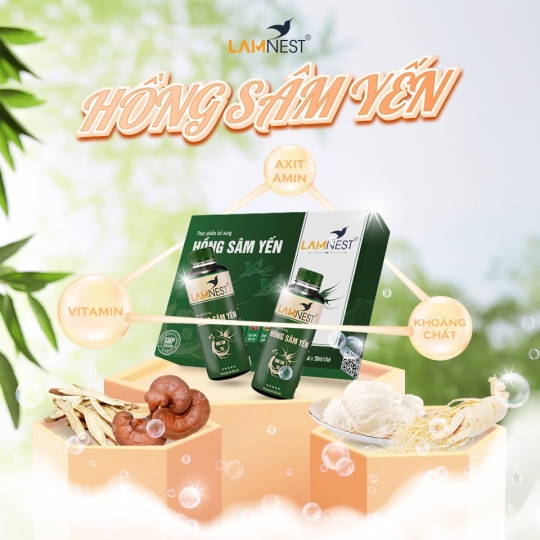Hồng Sâm Yến Lamnest 04