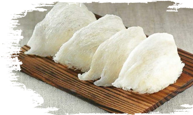 YẾN SÀO LAMNEST VINH NGUYỄN