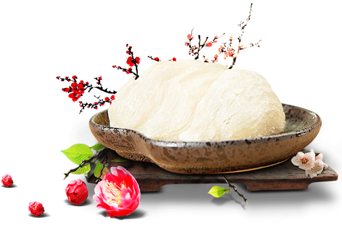 YẾN SÀO LAMNEST VINH NGUYỄN